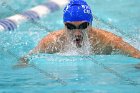Swimming & Diving vs Babson  Swimming & Diving vs Babson College. - Photo by Keith Nordstrom : Wheaton, Swimming